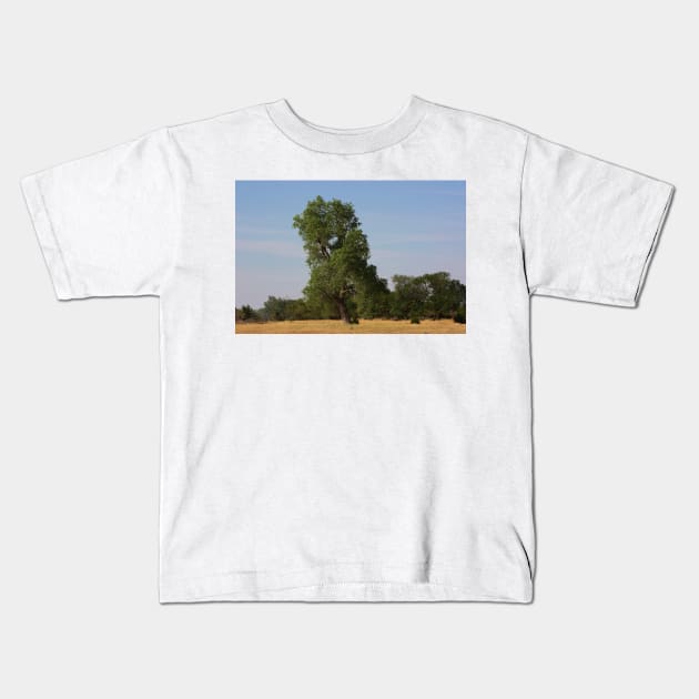 Kansas Country  Tree in a Pasture Kids T-Shirt by ROBERTDBROZEK